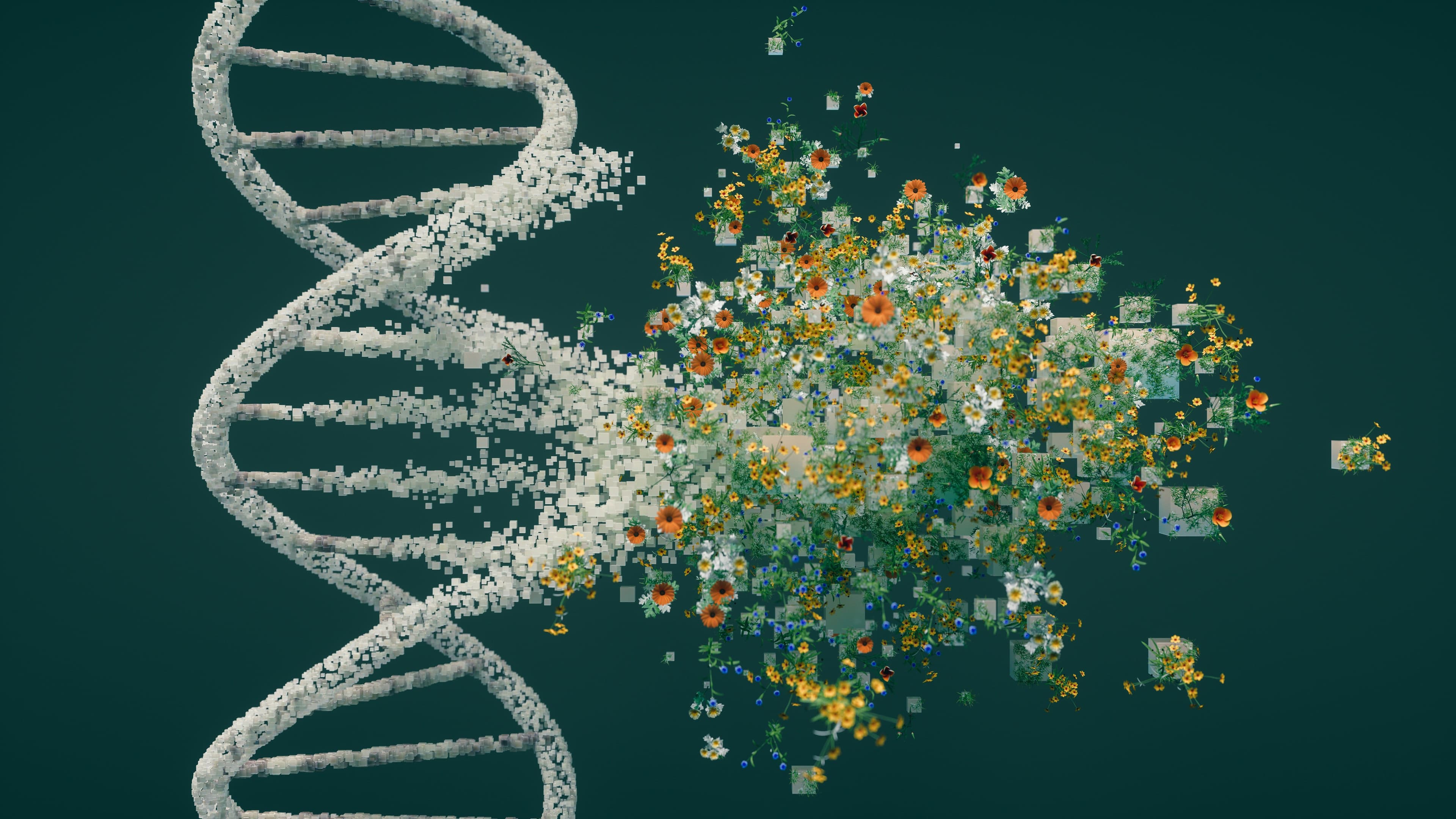 Why Genes Aren’t Destiny